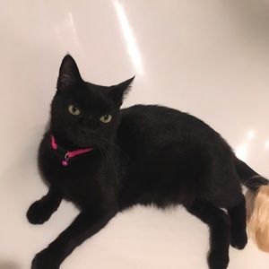 Meet your Posher, Lea